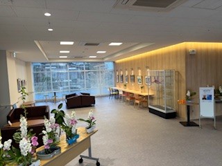 個展始めました